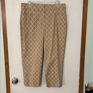 Ann Taylor Factory Cropped Pants Size 12P